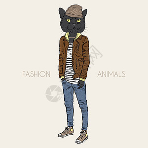 牛仔裤男猫穿着休闲城市风格的时尚插图时尚插图黑猫打扮成休闲城市风格插画