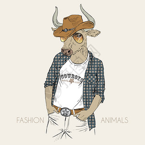 人畜拟人化手绘公牛的插图,打扮成牛仔插画