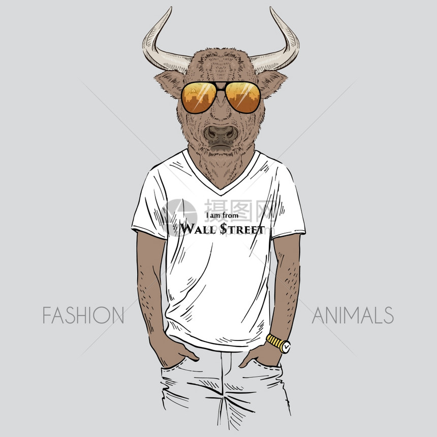 拟人化穿着t恤的公牛的时尚插图图片
