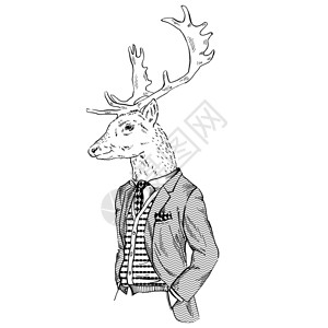 以复古风格装扮的鹿的拟人化图片