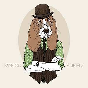 背心男猎犬时尚动物插图,毛茸茸的艺术插画