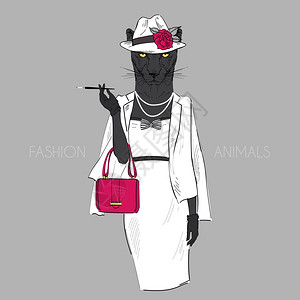 黑色手提包拟人化黑豹女孩打扮成优雅风格的时尚插图插画
