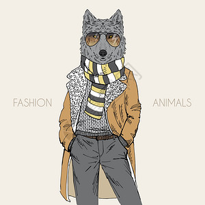 裤子男拟人化穿着羊肉外套的狼的时尚插图插画