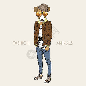 皮革夹克时尚插图杰克罗塞尔猎犬打扮成休闲城市风格插画