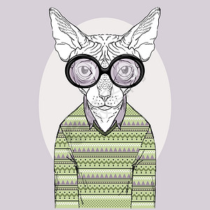 提花机穿套衫圆眼镜的瘦猫插画