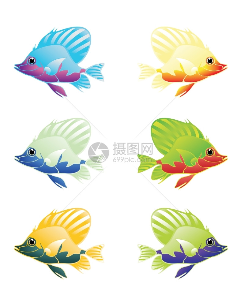 fish2五种颜色的漂亮鱼漂浮图片