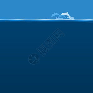 海豚的飞行海豚的飞行漂浮海里矢量插图图片