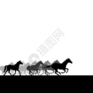 围场群马群马穿过田野矢量插图插画