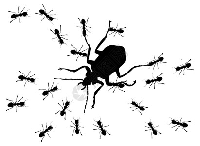 大蚂蚁捕猎蚂蚁为大虫子猎蚂蚁矢量插图插画