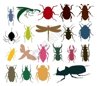 昆虫图标同颜色的昆虫的剪影矢量插图背景图片