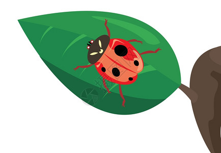 瓢虫红色瓢虫床单上爬行矢量插图图片