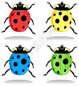 瓢虫2同颜色的瓢虫矢量插图背景图片