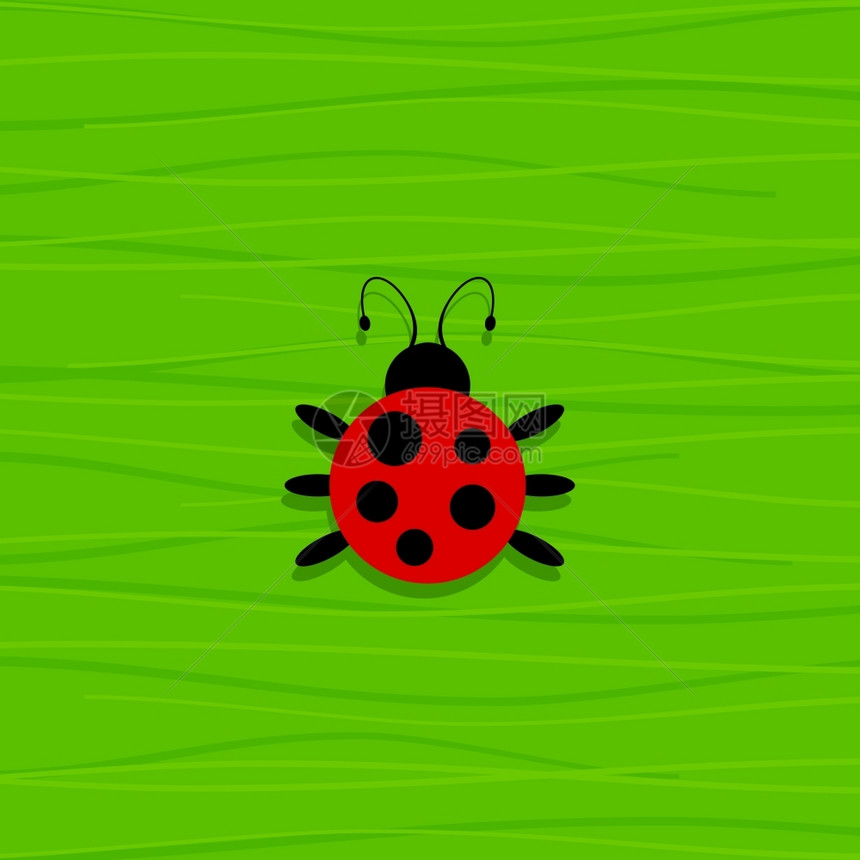 绿色背景上的瓢虫矢量插图图片