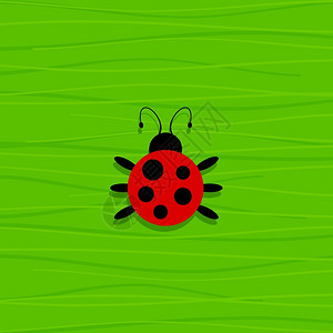 绿色背景上的瓢虫矢量插图背景图片