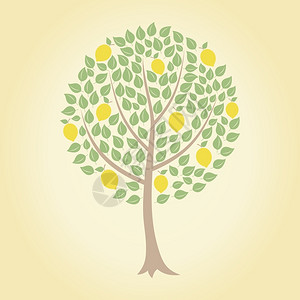 柠檬树树上黄色柠檬矢量插图背景图片
