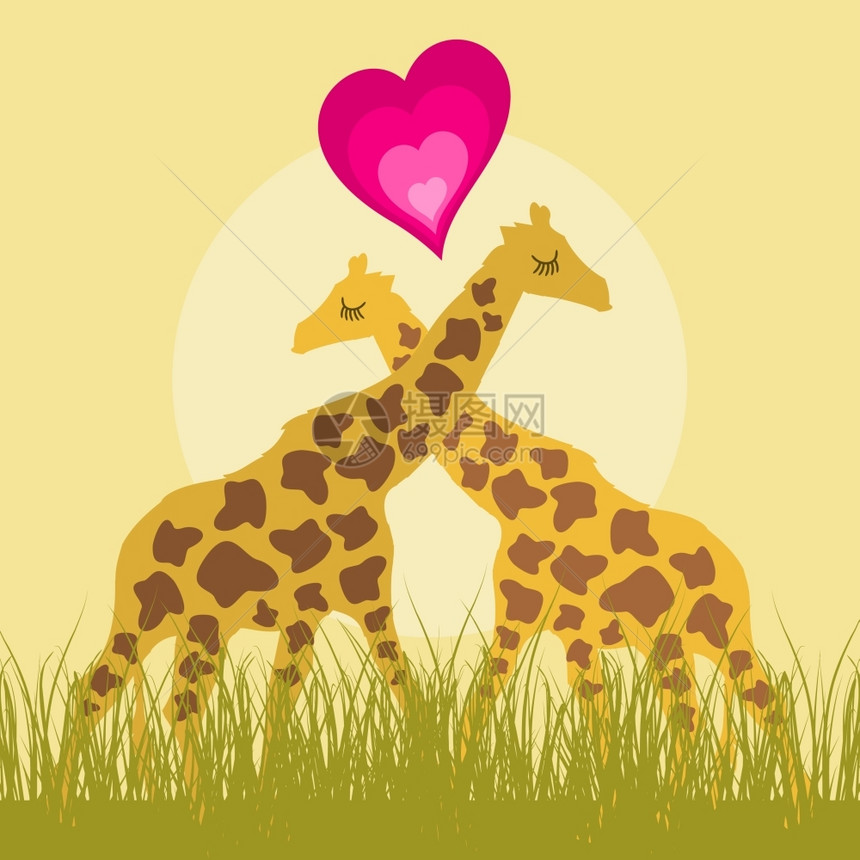 喜欢长颈鹿两只长颈鹿彼此相爱矢量插图图片