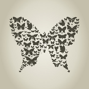 蝴蝶用蝴蝶的矢量插图图片