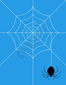 蜘蛛2蜘蛛网上称重矢量插图图片