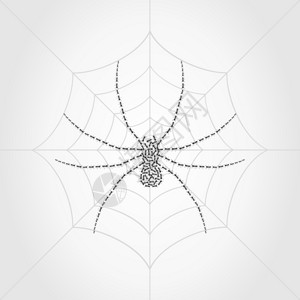 蜘蛛4蚂蚁收集的网上的蜘蛛矢量插图图片