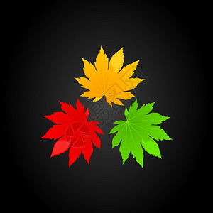 三片叶子黑色背景上棵树的三片叶子矢量插图背景图片