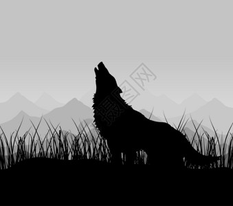 狼剪影山里的狼狼雾中山上嚎叫矢量插图插画
