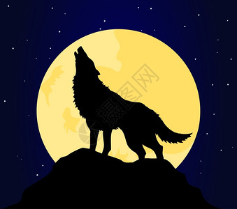 狼4狼晚上月亮上嚎叫矢量插图背景图片