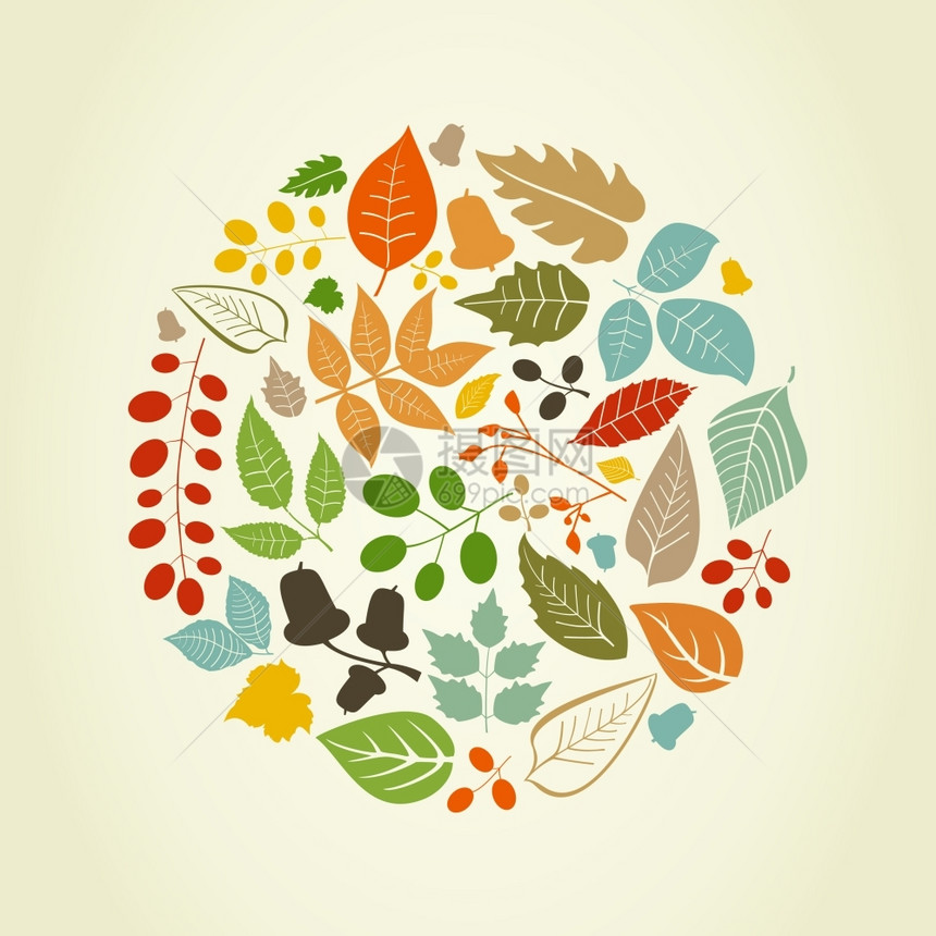 秋天的叶子以圆圈的形式出现矢量插图图片