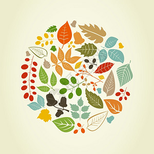 秋天的叶子以圆圈的形式出现矢量插图图片