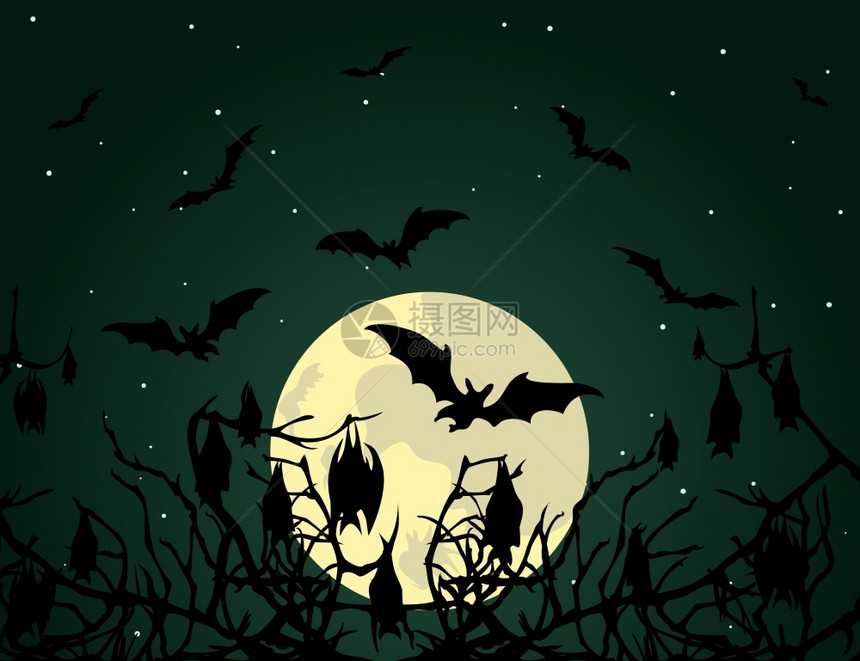 蝙蝠晚上蝙蝠木头上矢量插图图片