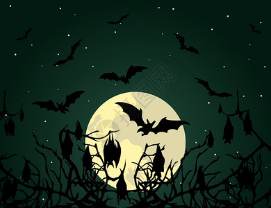 蝙蝠晚上蝙蝠木头上矢量插图背景图片