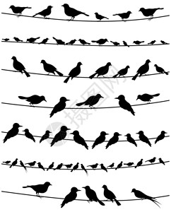 电线上的鸟矢量插图背景图片