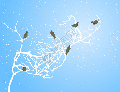 雪叶树枝上的公牛冬天根白色的树枝上矢量插图插画