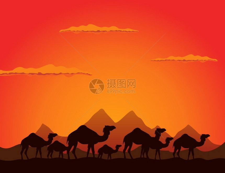 骆驼2骆驼队走沙漠上矢量插图图片