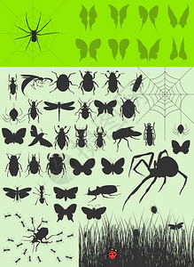昆虫的收集2昆虫的大集合矢量插图图片