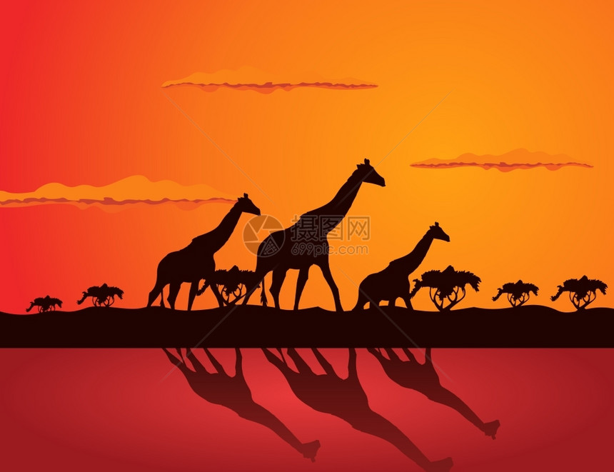 长颈鹿三只长颈鹿草原上矢量插图图片