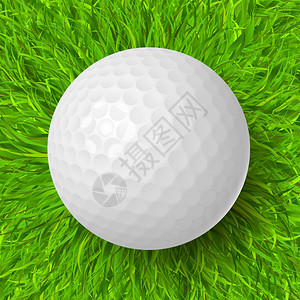 高尔夫球绿草现实矢量插图图片