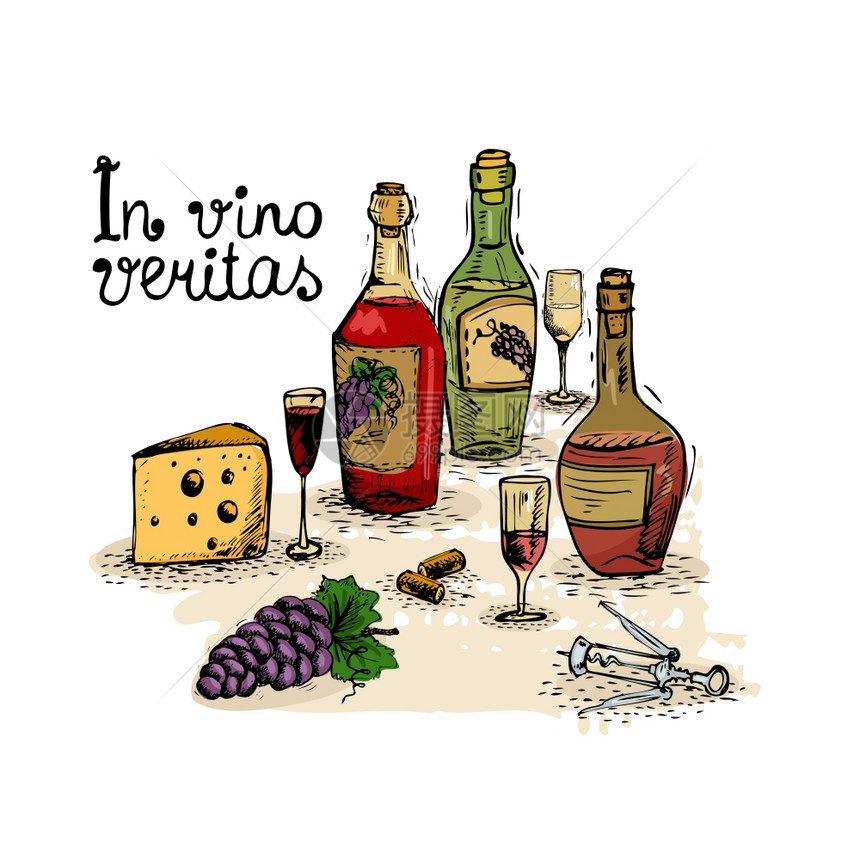 VinoVeritas中,葡萄酒静物分离矢量插图图片