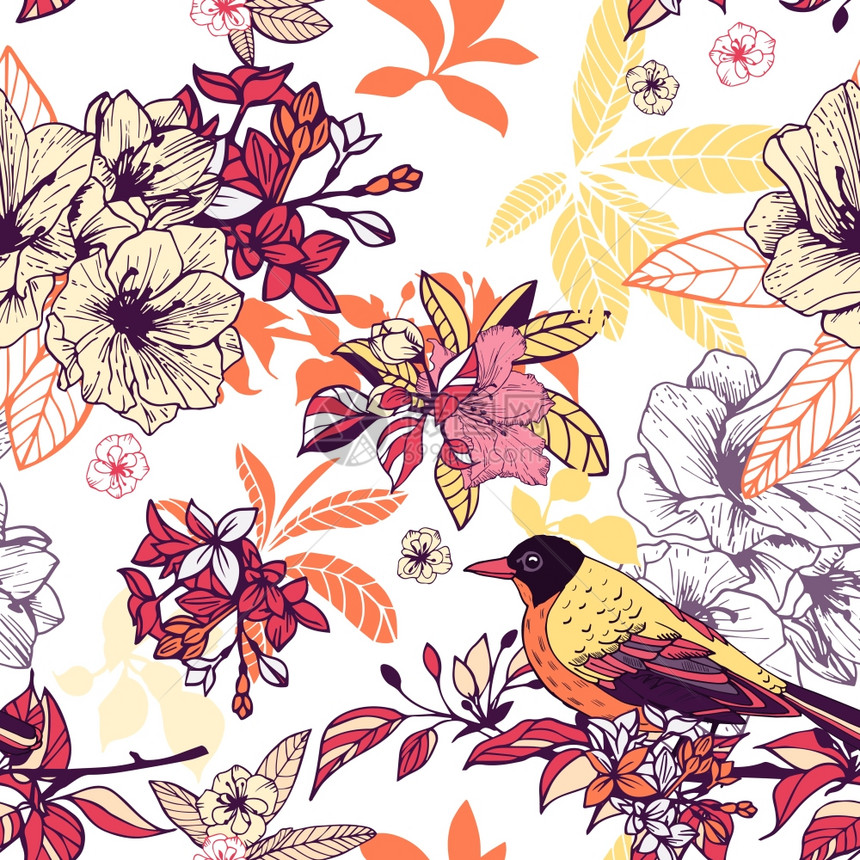 无缝花卉图案与鸟类矢量插图图片