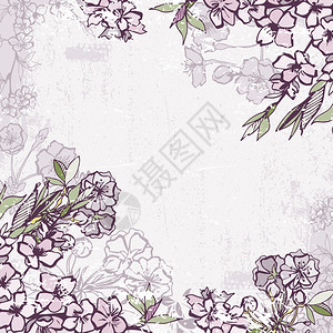 装饰框架与开花樱桃樱花枝矢量插图背景图片