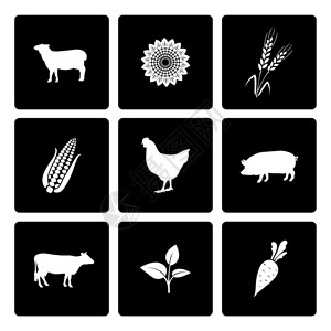 农产品图标农村图标集牛鸡猪玉米小麦矢量插图插画