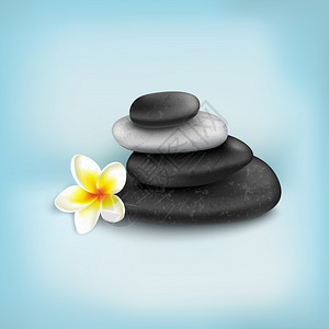 石头平衡温泉石与异国情调的热带花卉矢量插图插画