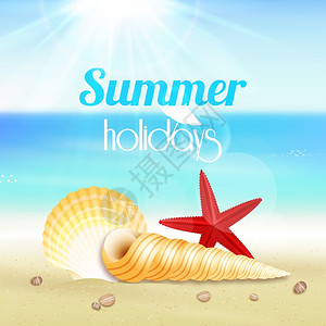 暑假旅行背景海报与海景海星贝壳矢量插图背景图片