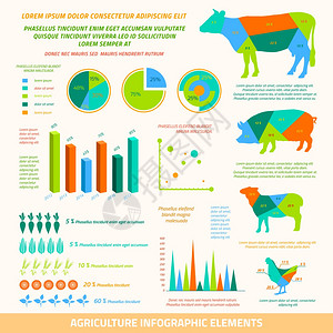 农业信息平要素的农场动物作物图表矢量插图图片