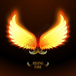 火的翅膀素材明亮的发光天翅膀矢量插图插画