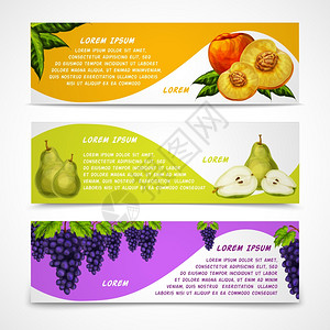 混合天然机甜果横幅收集梨桃葡萄为咖啡馆甜点菜单模板矢量插图图片
