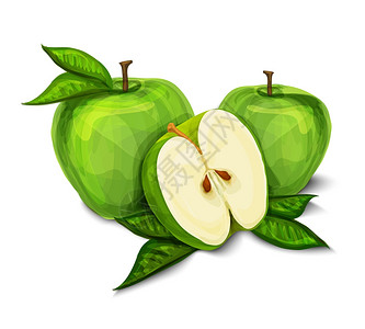 绿色天然机甜苹果果实切成两半,与种子叶片分离手绘草图矢量插图图片