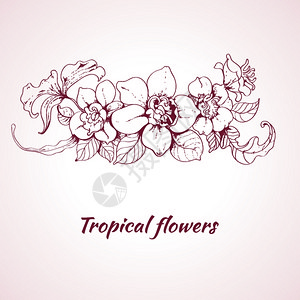 热带夏季花卉素描装饰元素浅粉色背景矢量插图图片