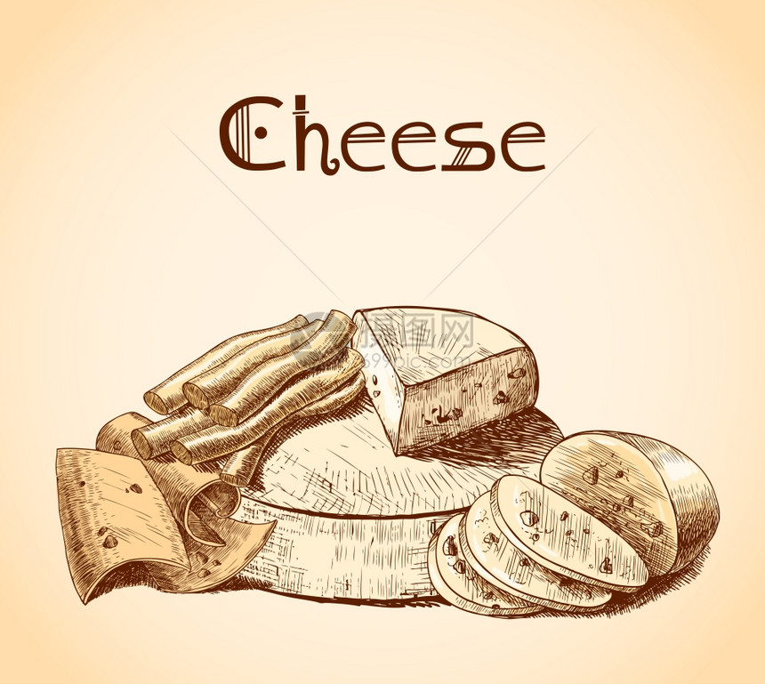 切达帕尔马桑熏荷兰奶酪切片块块分类草图海报矢量插图图片