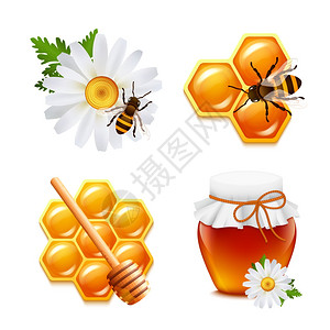 蜜蜂蜂巢蜂蜜食品装饰图标雏菊大黄蜂蜂窝孤立矢量插图插画