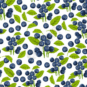 天然新鲜机森林蓝莓无缝图案矢量图图片